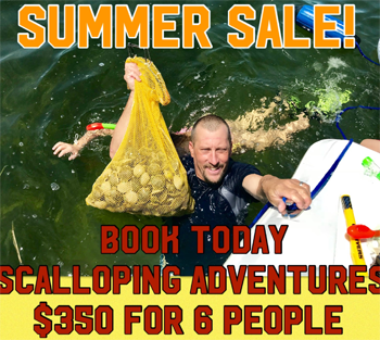 Scallop Trip Special